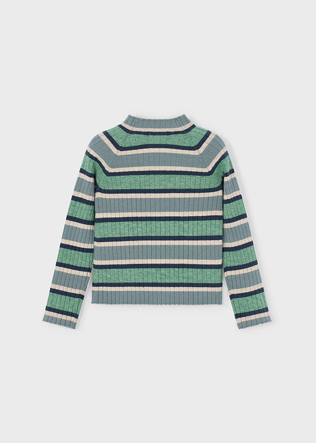Girl Striped Rib Turtleneck