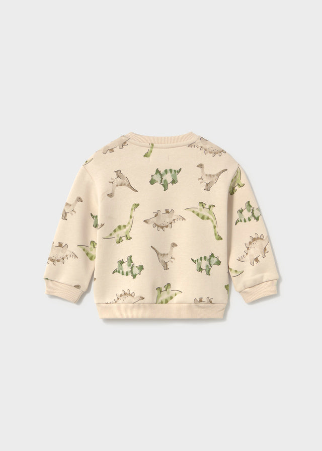 Infant Boy Dino Pullover