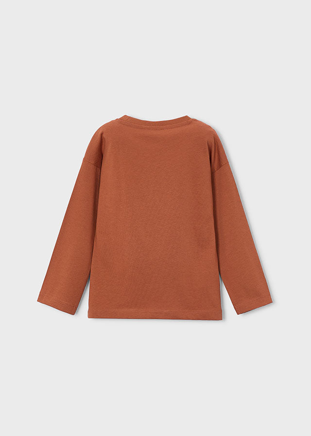 Boys L/s Brick Red Printed Shirt