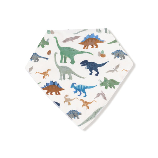 Washy Dinos Bandana Bib