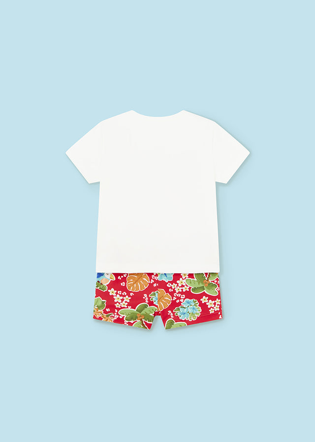 Baby Boys 2-Piece Swim Outfit