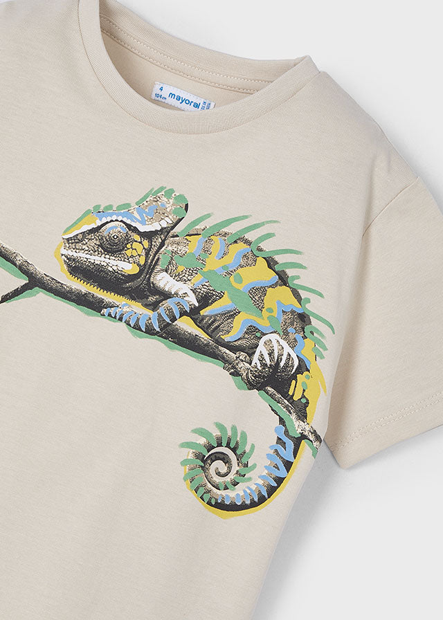 Boy Chameleon Graphic T-Shirt