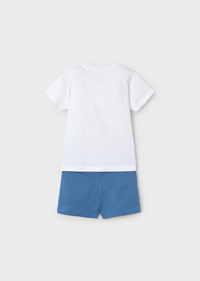 Boy Surf Shorts and T-Shirt Set