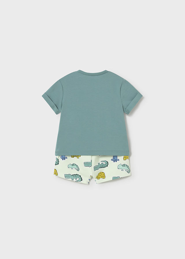 NB Boy Printed Shorts Set