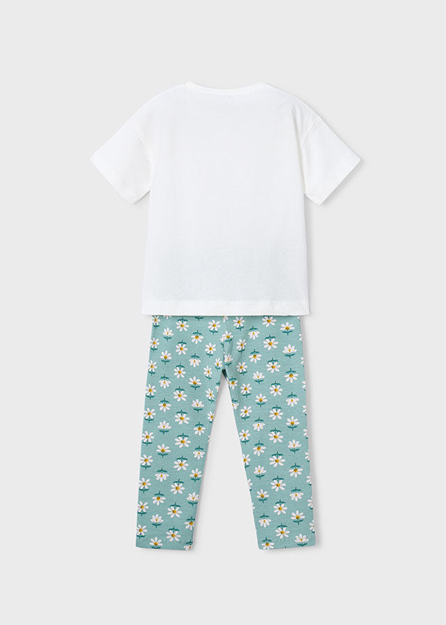 Girl Printed Shirt and legging Set