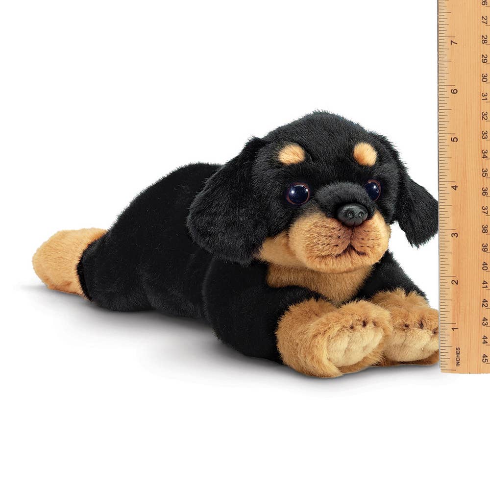 Gunner the Rottweiler