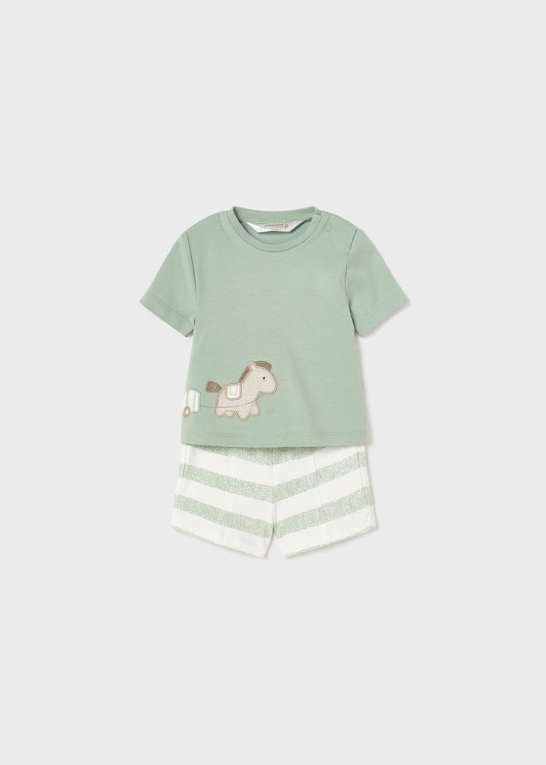 Aqua Horsie Set