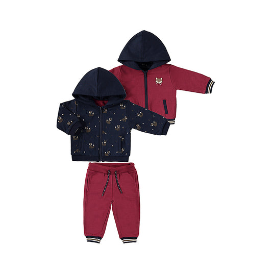 Boys Fox Reversible Pullover Set