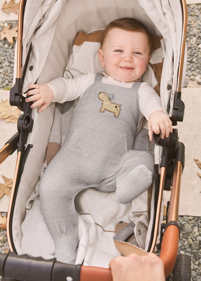 Gray Pup Romper