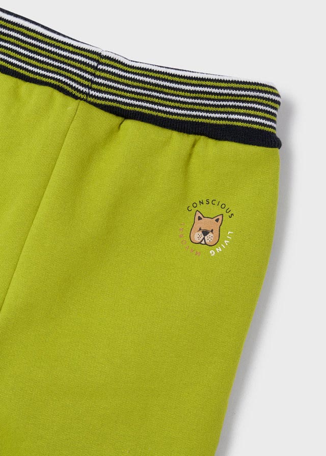 Lime Dog Set