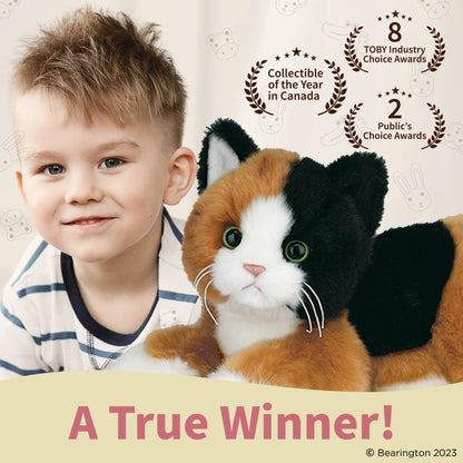 Lil' Callie the Calico Cat