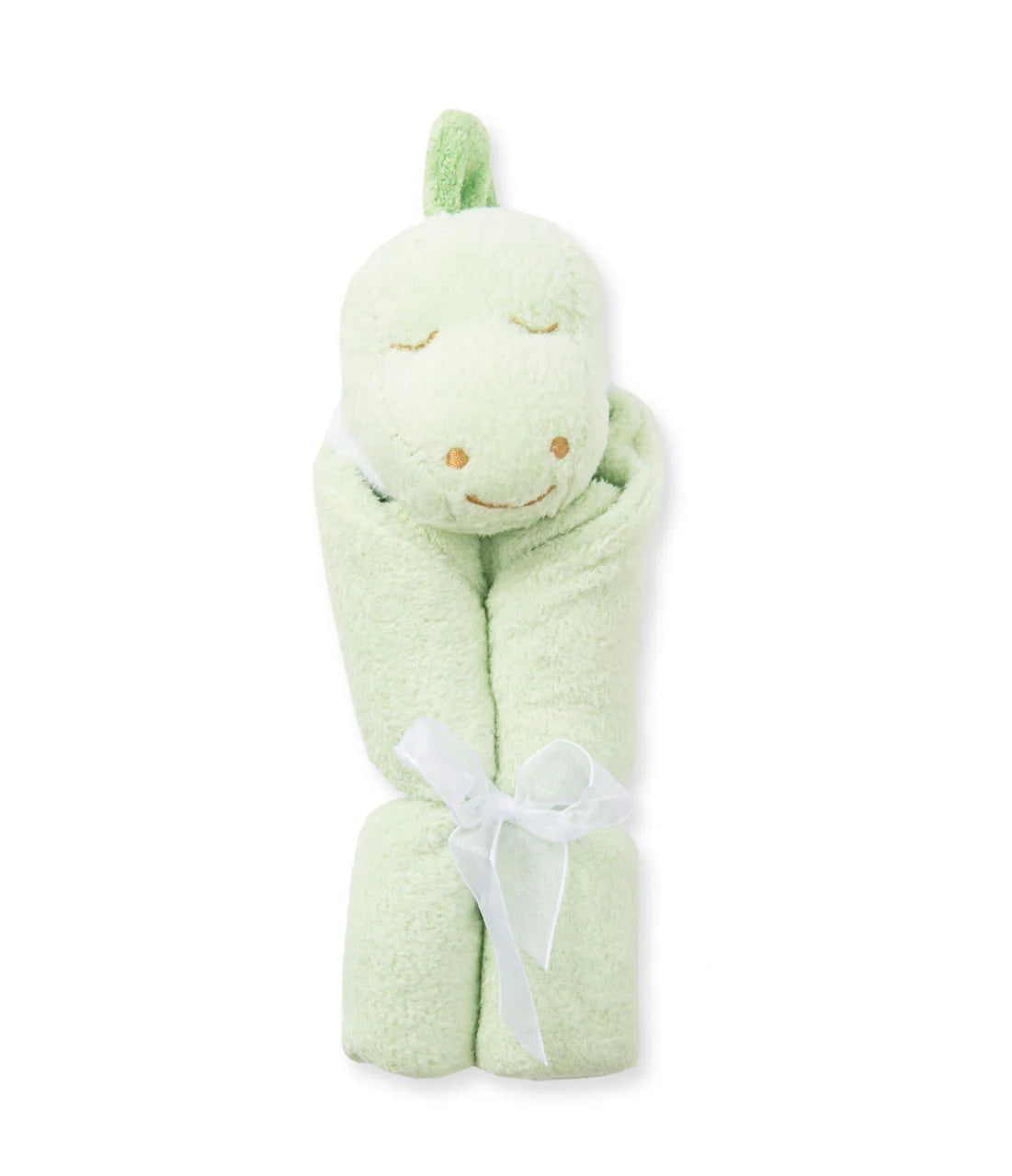 Dino Blankie