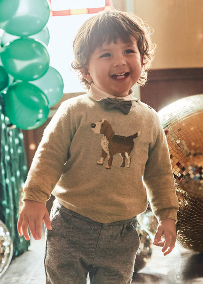 Infant Boy Brown Puppy Sweater