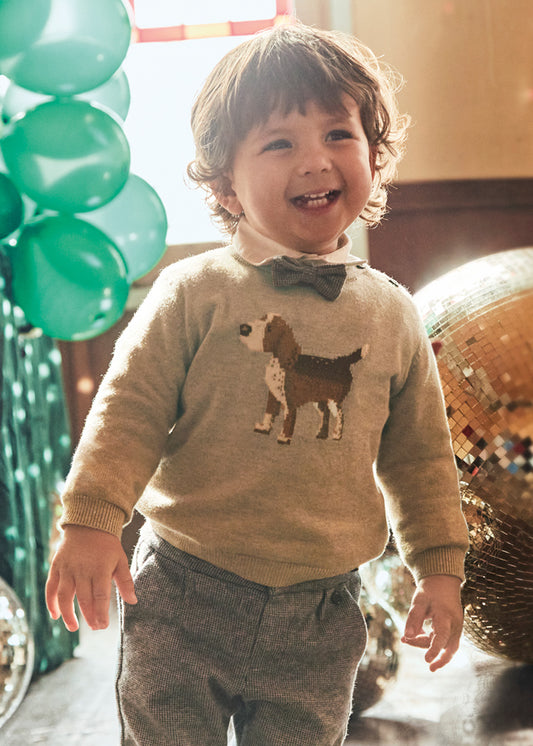 Infant Boy Brown Puppy Sweater