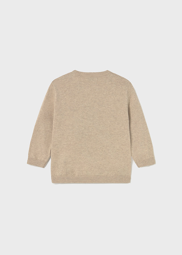Infant Boy Brown Puppy Sweater
