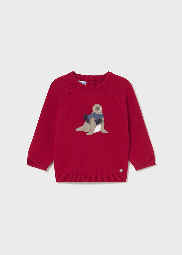 Infant Boy Winter Sweater