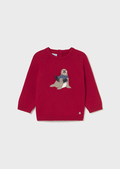 Infant Boy Winter Sweater