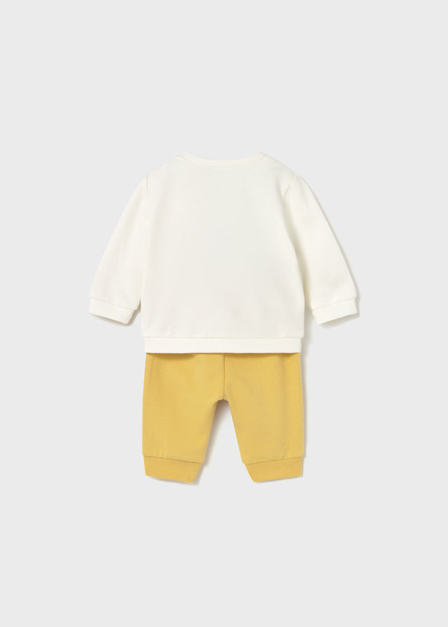 Newborn 4Pc Animal Knit Set