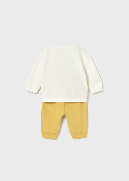 Newborn 4Pc Animal Knit Set