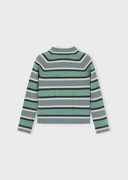 Girl Striped Rib Turtleneck