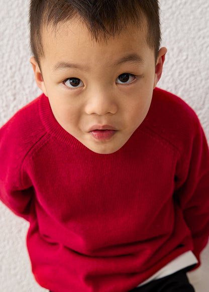 Boys Red Crew Neck Jumper