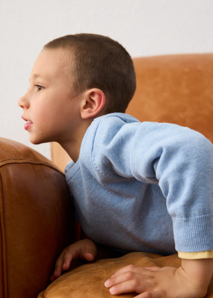 Boys Basic Cotton Jumper