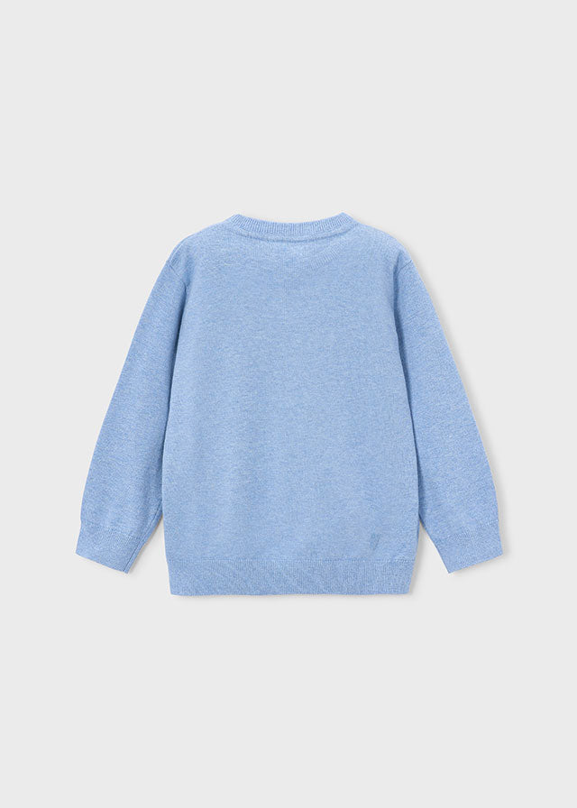 Boys Basic Cotton Jumper