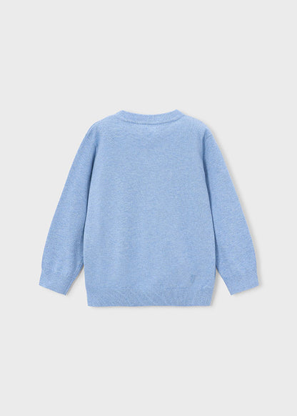 Boys Basic Cotton Jumper