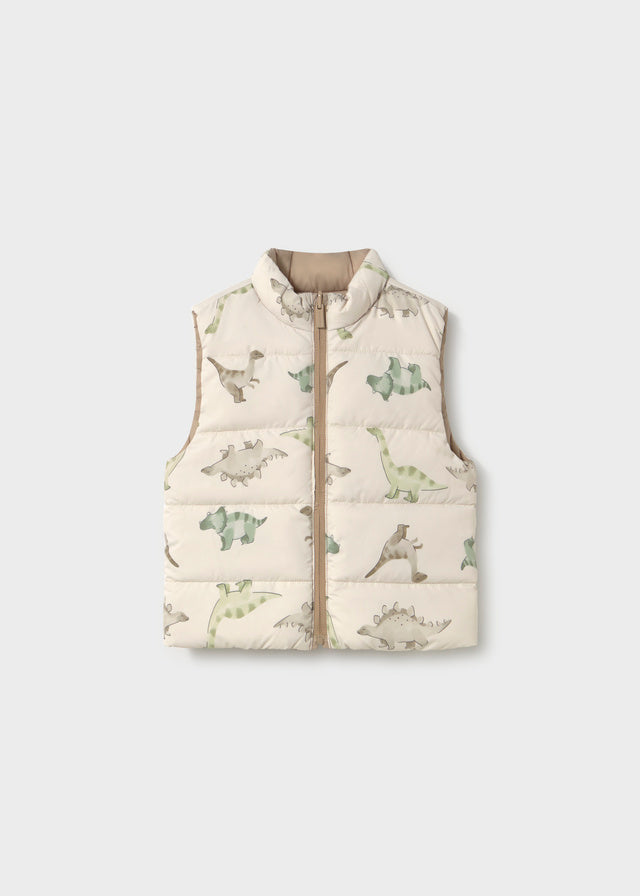 Infant Boy Dino Reversible Vest