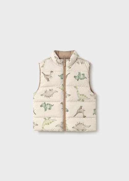 Infant Boy Dino Reversible Vest