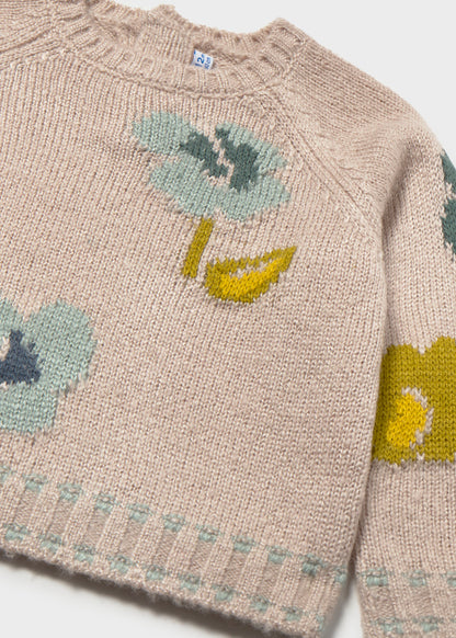 Infant Girl Fall Pullover