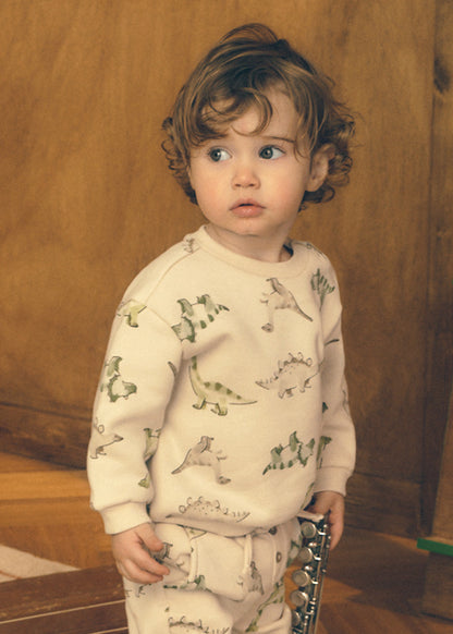 Infant Boy Dino Pullover