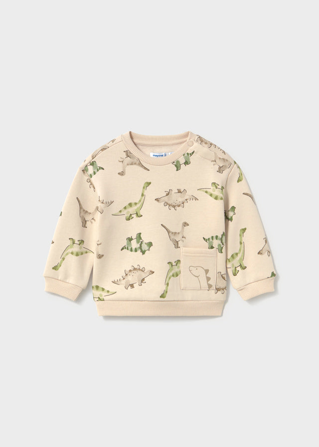 Infant Boy Dino Pullover
