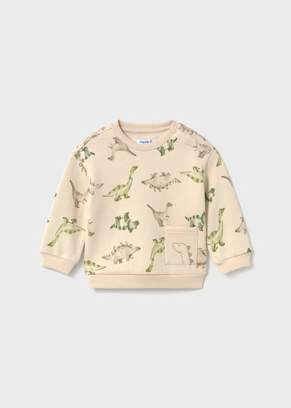 Infant Boy Dino Pullover