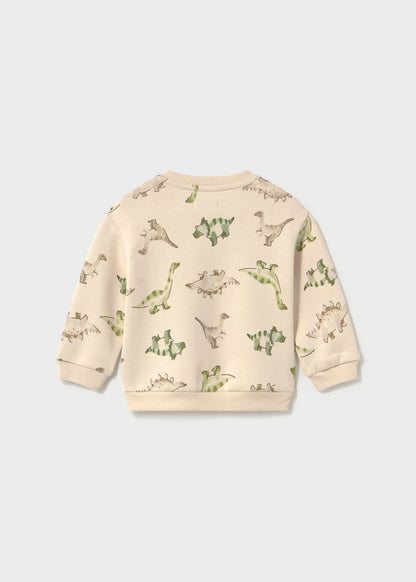 Infant Boy Dino Pullover