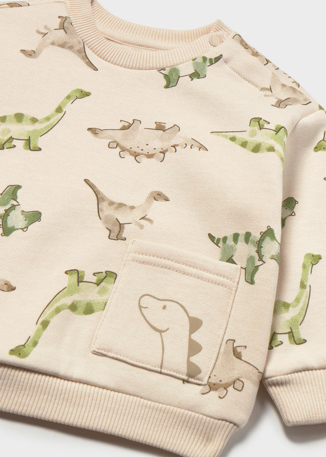 Infant Boy Dino Pullover