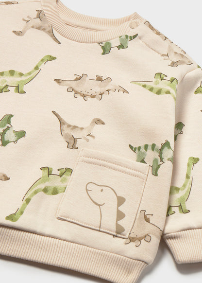 Infant Boy Dino Pullover