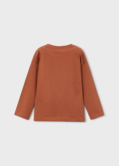 Boys L/s Brick Red Printed Shirt