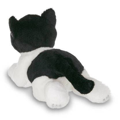 Lil' Domino the Black & White Cat