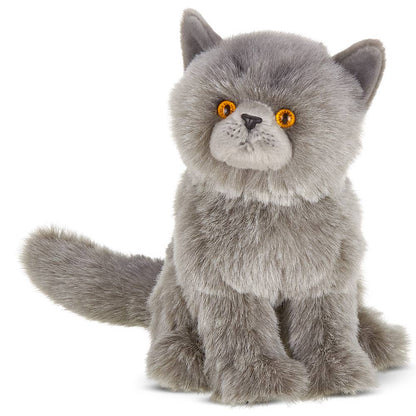 Gordie the Grey Persian Cat