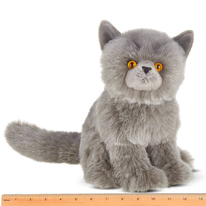 Gordie the Grey Persian Cat