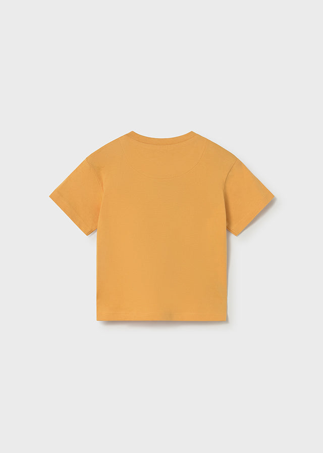 Infant Boy Giraffe T-Shirt