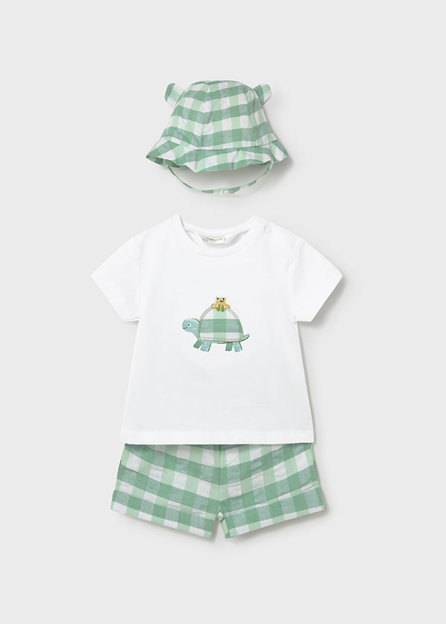 Infant Boy Plaid Turtle Set