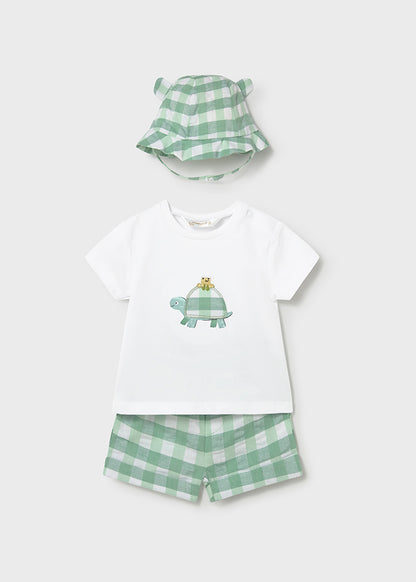 Infant Boy Plaid Turtle Set