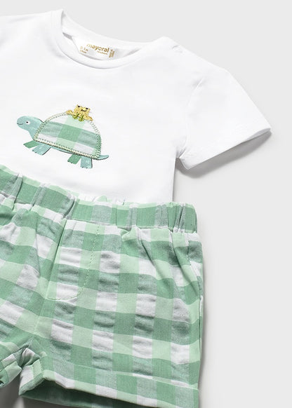 Infant Boy Plaid Turtle Set