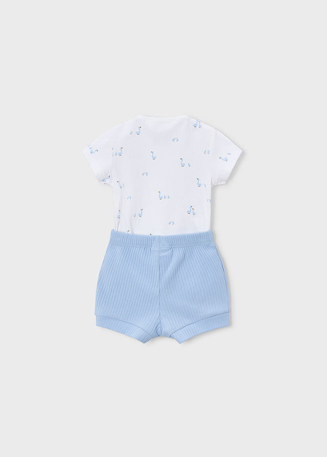 Newborn 4Pc Delicate Knit Set