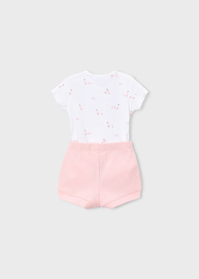 Newborn 4Pc Delicate Knit Set