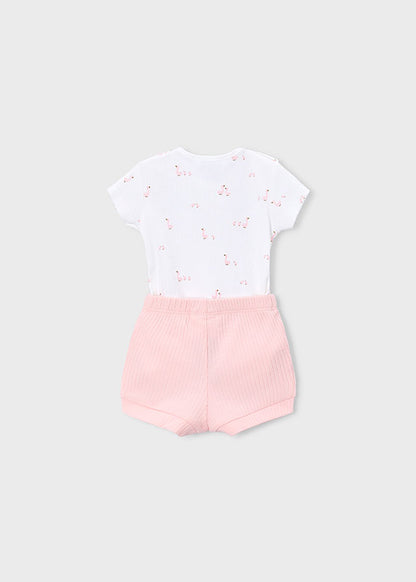 Newborn 4Pc Delicate Knit Set