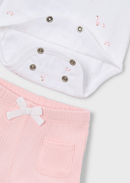 Newborn 4Pc Delicate Knit Set