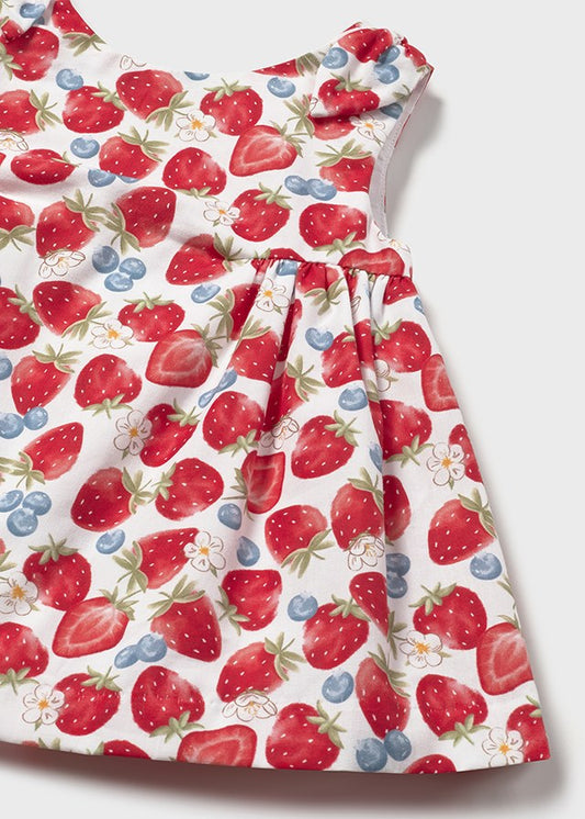 NB Girl Berries Dress